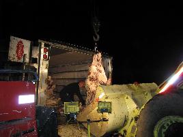 rt_80_beef_rollover_2008___13_.jpg